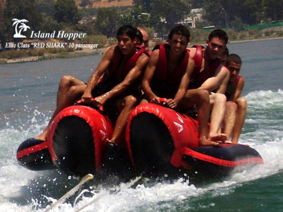 Island Hopper 10 Person The Red Shark Inflatable Banana Boat