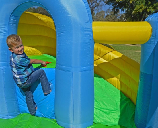 curved slide climbing wall